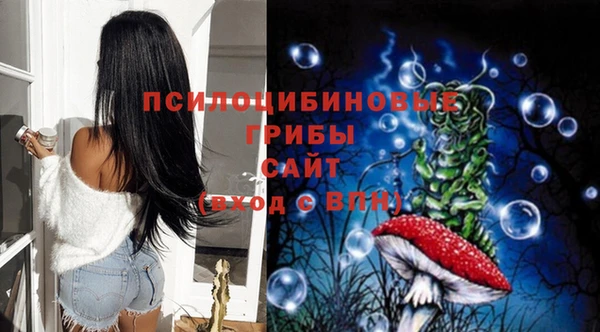 метадон Магас
