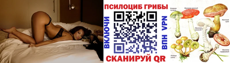 Псилоцибиновые грибы ЛСД  ОМГ ОМГ ССЫЛКА  Шарья 
